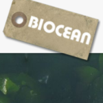 Biocean-logo